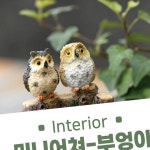 YK 다올 하우스 미니어처 공방 전통 부엉이장식품 기념품
