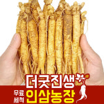 금산인삼 수삼 세척 4 6년근 수삼 600g 24 32뿌리