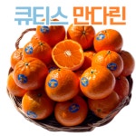 제철달력 새콤달콤 감귤 큐티스 만다린