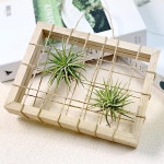 이오난사 원목 그물 액자 만들기 DIY놀이 고등학생 창의성발달 방과후교재 고학년 미술활동