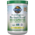 Garden of Life 가든오브라이프 퍼펙트 푸드 슈퍼푸드 그린 파우더 스무디 앤 믹스 오리지날 414g