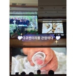 판다 자원봉사자 일일사랑체험 와룡캠프
