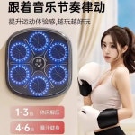 복싱머신 음악 샌드백 장비 뮤직 6포인트 벽걸이 운동 스탠다드