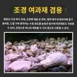 벌크 서사 산호골 다공질 프리미엄 워셔리스 청정 수조 배양 산호석 여과재 500g