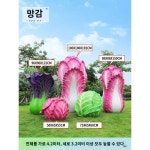 청과물 장식 농장농장 민박공원 장식 조경 청경배추 모형 시뮬레이션 체리조각품