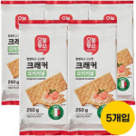롯데쇼핑 오늘좋은 오늘좋은 오늘좋은 크래커 오리지널 250gX5개