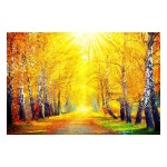 부자되는 그림 황금 자작나무 금전운 풍수 인테리어 캔버스 액자 캔버스액자 75x50 꼭꼬핀 04 자작나무의 길