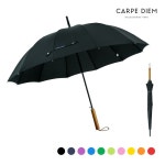 카르페디엠 스마트 우드 장우산 S021 55X12K