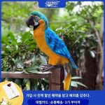 한사 리얼 앵무새 솜털 인형 핸드메이드 베이비 돌담 인형