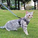 팡디 고양이 하네스 목줄 세트 탈출 방지 전술 초대형 감성 지원 조끼 Small