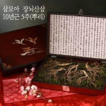삼모아농장 삼모아 장뇌산삼산양산삼 10년근 5뿌리만수무강세트고가구케이스 실크보자기포장