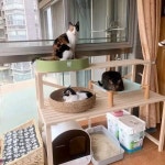 캐비닛 가구 다이 STYLE 고양이화장실선반 WOODEN 1 원목 60 가로 50 세로 1m 높이 2단