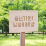 원목간판 텃밭팻말 중 각인 주말농장 팻말 나무 문패 이름표 수목 표찰 우드간판 푯말 안내표지 명찰