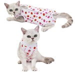 고양이 중성화복 도넛