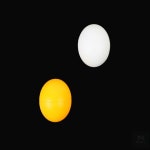 뽑기캡슐 추첨볼 원형 보물찾기 경품 추첨공