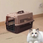 고양이 외출 휴대용 가방 에어 박스 애완 동물 상자 공간 자동차
