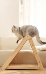 고양이 스크래쳐 캣타워 놀이터 발톱강화 냥이 사이즈 1개 다이빙 플랫폼