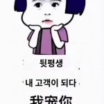 일진양품 향운사탑NXYS중단지자수긴팔코트 F8085