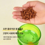 하이캣 자묘 재롱 애견봉봉이가 고양이 장난감을 흘려먹어 심심풀이로 빨판볼 오뚜기