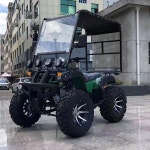 ATV 사륜오토바이 캐노피 차양막 지붕 팜트럭 그늘막