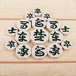 국산 장기 플라스틱 알 판 세트 NWD2C4E7