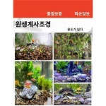 어항 바닥 모래 조경 전용 천연 수조 바닥 돌 수초 장식 모래 원생 계류석