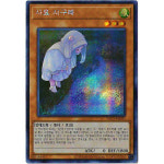 유희왕카드 사요시구레 다른일러 Secret Rare 1개 PAC1-KR035A