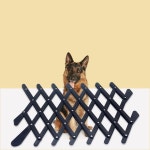 키밍 반려동물 차량용 안전가드 추락방지 강아지 고양이 울타리 소형
