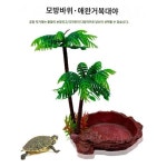 애견수대 키우기 조경 육거북수궁 도마뱀 뿔개구리 눈꼬리거미 목욕탕 파충류대야