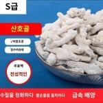 산호골 천연어항 여과재 수조조경 어항 수산양질 산호사어지 여과재