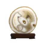 관상용 아게이트 17