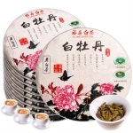 복정백차 백모란왕 백차복정 2010년 노백차 복정백차전 7병 2100g 노민차