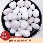 광동 소백 자갈 천연 우화석 다육점 화분 정원 조경 장식 돌