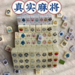 중형 그림맞추기 마작 큐브 미디움 야유회 3인 관찰력 11 동물 보드게임 사이즈 동물 가족 그림