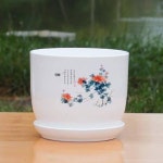 식물분재육신상품분원예화분백자심플한국식특대화원공예상자 많나요