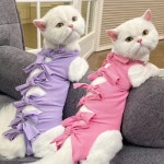 강아지 환견복 고양이 환묘복 반려묘 털방지 오버그루밍방지 반려견 중성화 점프수트 M 딸기 1개