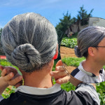 쪽진머리 할머니 가발