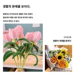 패키지 튤립 공예 꽃다발 만들기 재료 모루