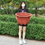화분 초대형 8각형 원형 대형 분재 각형 AW 수련 수련야외 깨지지않는