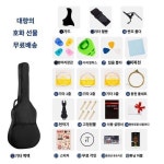 판타지아 41 포크 통기타 초보자 여학생 38 독학