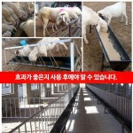 화분 소여물통 원목 소 염소 돼지 사료 먹이통 고무 1개 6 그린 1m