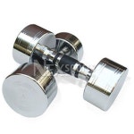 NEX NEX 크롬 도금 아령 9kg