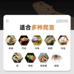 파충류 육지거북이 포맥스사육장 집 자온조 레오파드