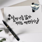부드러운 캘리그라피 붓펜 감성 브러쉬펜 WFGZMWL