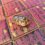 탑섭스토어 육효점괘 원형 적천법 산가지 대나무 공예 원목 주역 사주 골동품 1 트럼펫 앤티크 거북이 동전 여섯 개 복주머