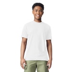 COMFORT COLORS UNI HEAVYWEIGHT SHORT SLEEVE TEE MULTIPACK G1717 G1745