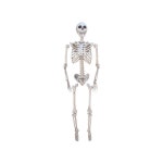 전신 해골 모형 파티 장식 할로윈 해골모형 피규어 도시 기차 작동 까마귀