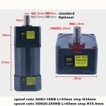 120W 220V AC 기어 속도 모터 기어드 모터 모터 속도 조정기 5IK120RGN-CF