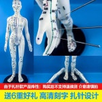 인체경락모형 경혈 전신 남성 흰색 교육용 인체모형 침술 1 백남 하드모델가 불가 미디움 레터