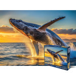 1000피스퍼즐 황금빛 혹등고래 퍼즐피플 PZP1000-003